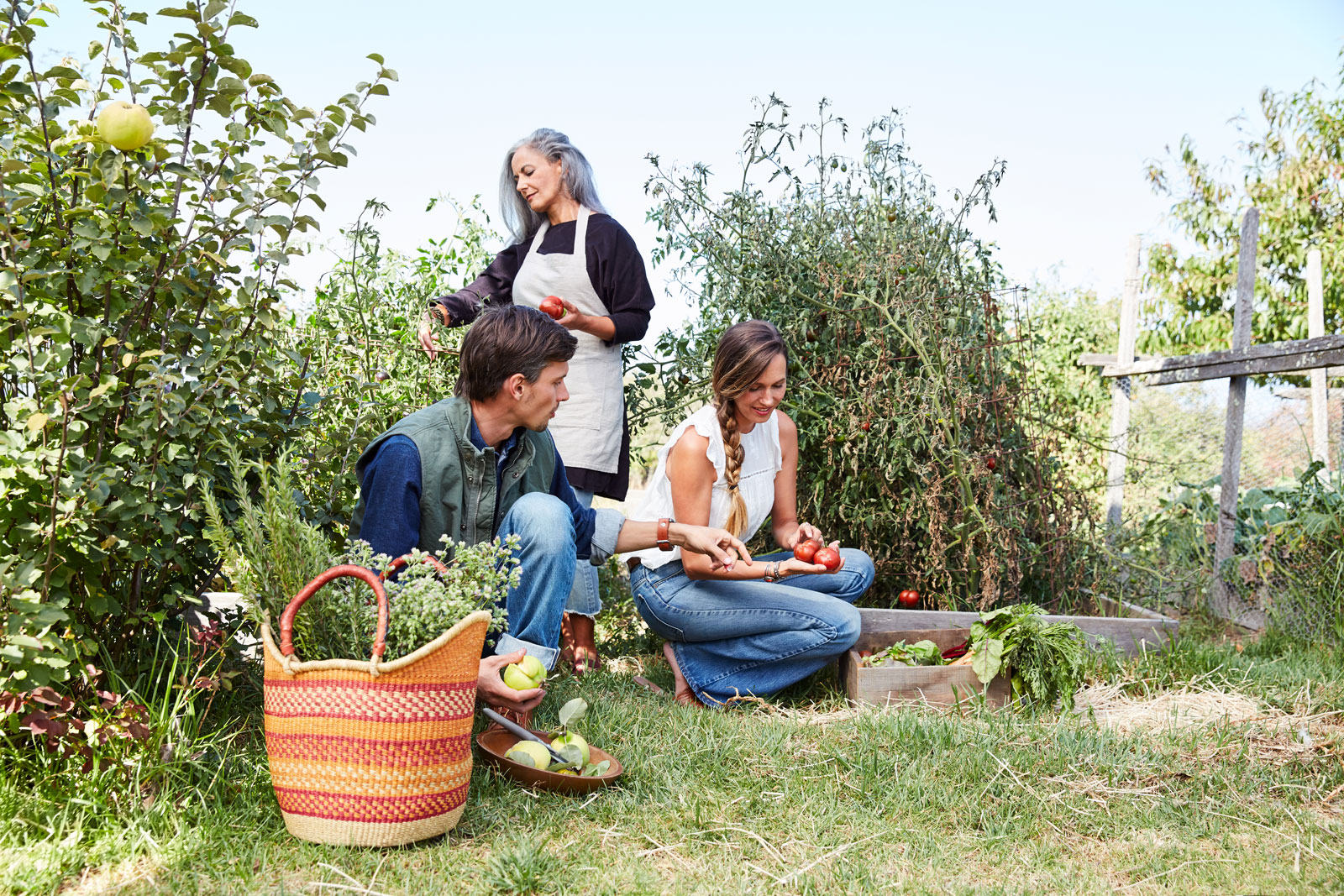 Stocksy_FarmToTable_TR_01138