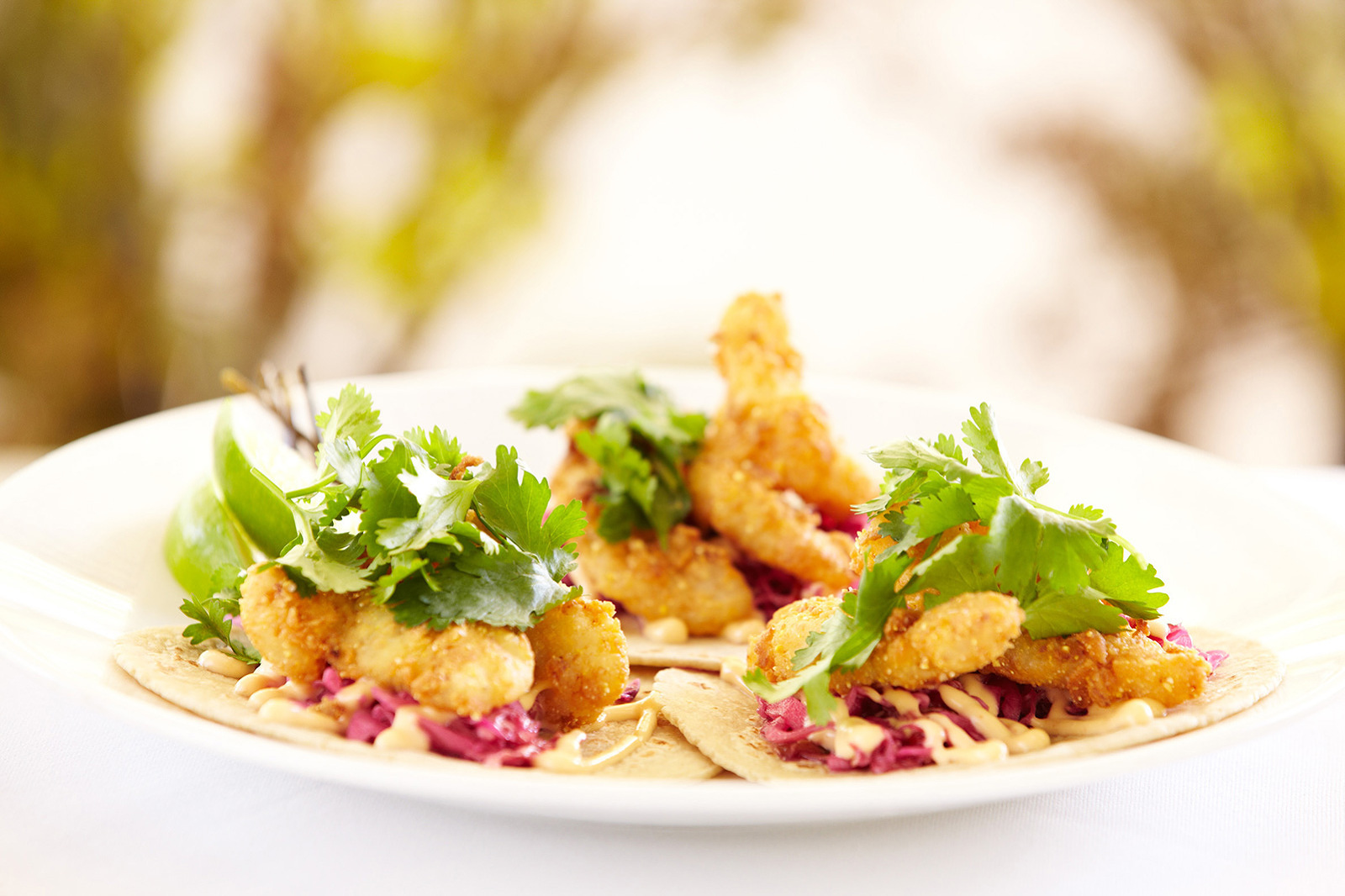 Fish Tacos at Solbar in Napa Valley, CA  | Trinette+Chris Photographers