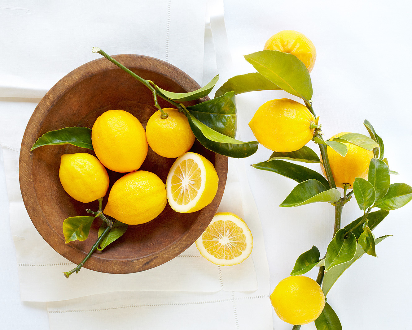 Still life of Myer lemons  | Trinette+Chris Photographers