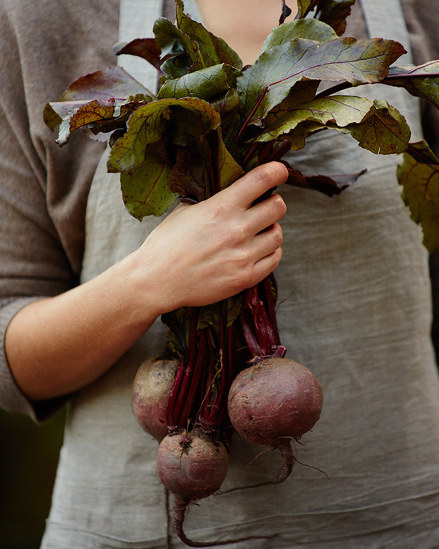 Beets, Point Reyes, CA  | Trinette+Chris Photographers