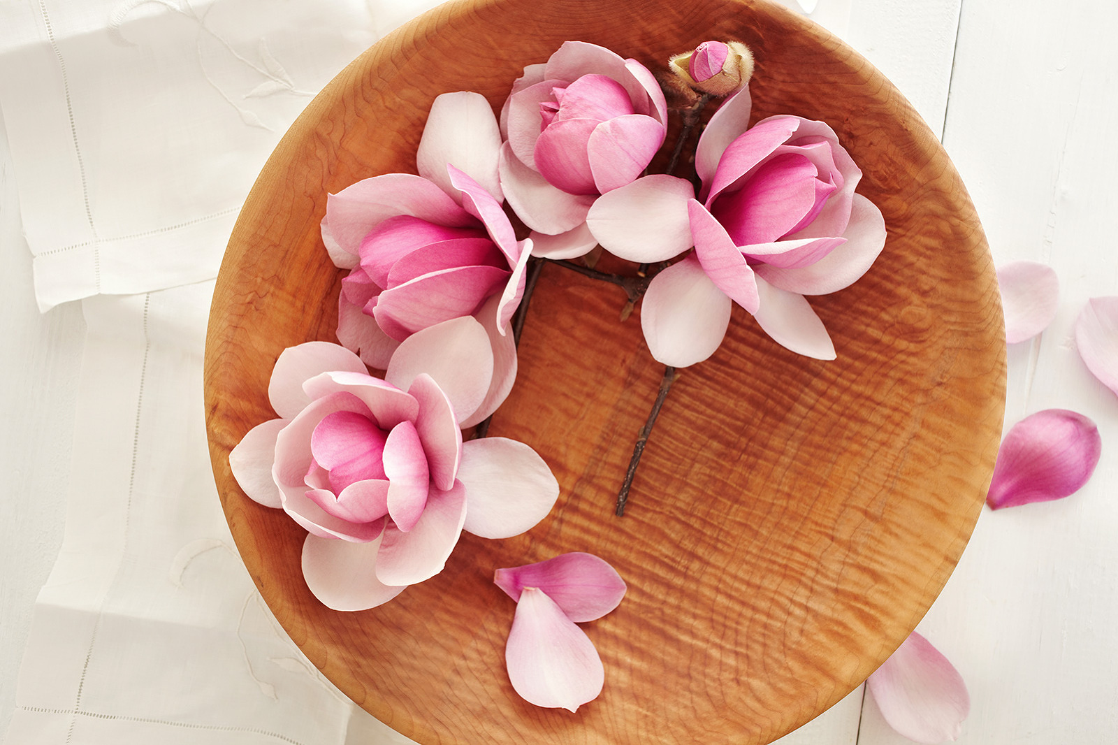 Pink Magnolia flowers  | Trinette+Chris Photographers
