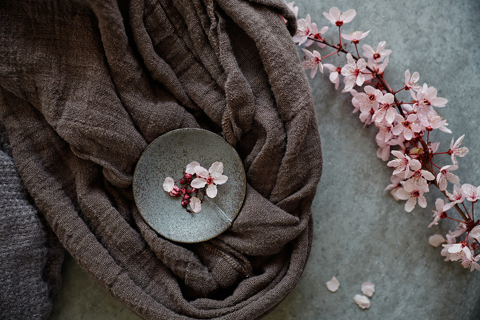 Cherry Blossoms Still Life  | Trinette+Chris Photographers