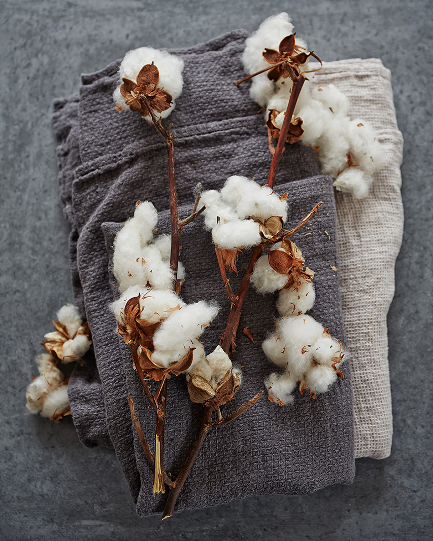 Fresh Cotton  | Trinette+Chris Photographers