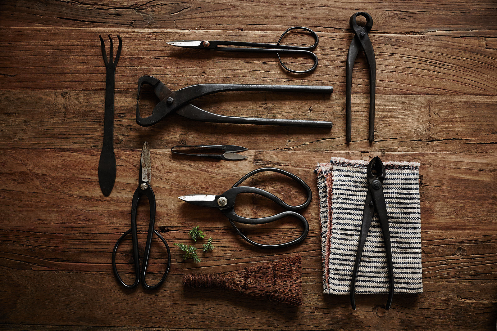 Bonsai Tools  | Trinette+Chris Photographers