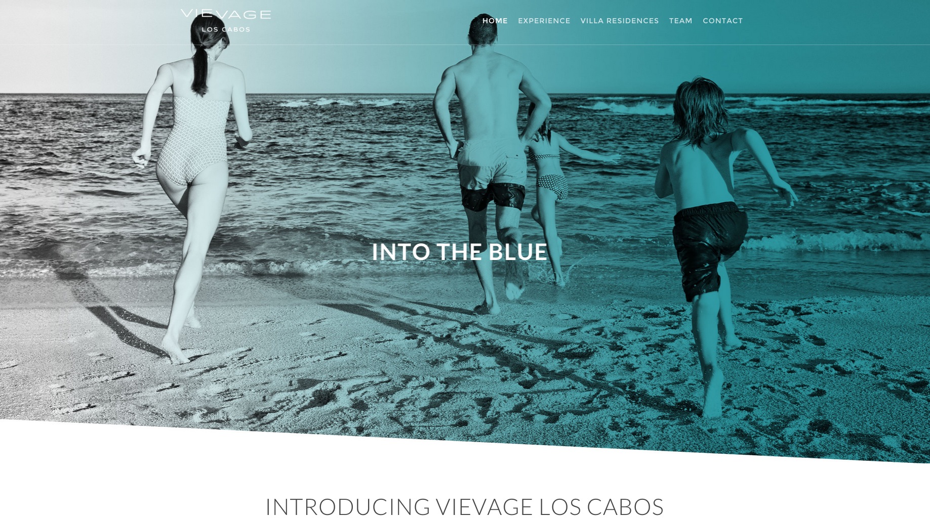 VieVage Los Cabos Ad  | Trinette+Chris Photographers